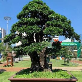 Chia sẻ vài tp hàng đại ae cung thưỡng lãm