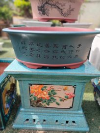 Một Số Mẫu Chậu Tại Cửa Hàng Phục Vụ Ace Trong Dịp Tết 2024