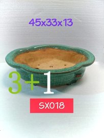 Một Số Mẫu Chậu Tại Cửa Hàng Phục Vụ Ace Trong Dịp Tết 2024