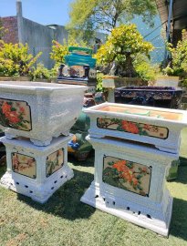 Một Số Mẫu Chậu Tại Cửa Hàng Phục Vụ Ace Trong Dịp Tết 2024