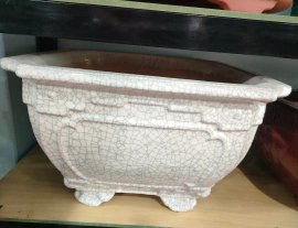 Một Số Mẫu Chậu Tại Cửa Hàng (tiếp theo)