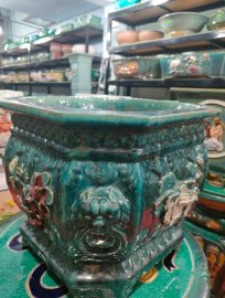 Một Số Mẫu Chậu Tại Cửa Hàng (tiếp theo)