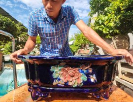 Một Số Mẫu Chậu Tại Cửa Hàng (tiếp theo)
