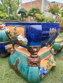 Một Số Mẫu Chậu Tại Cửa Hàng (tiếp theo)