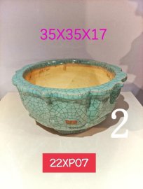 Một Số Mẫu Chậu Tại Cửa Hàng (tiếp theo)