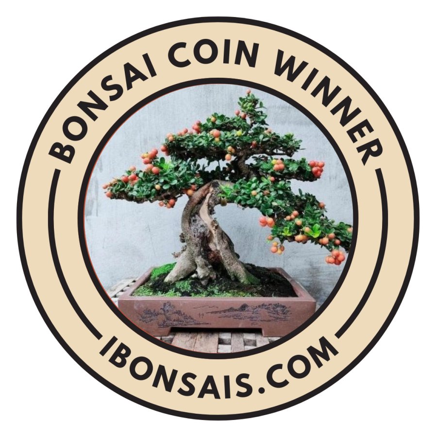 starterset bonsai Bonsai Tree Starter Kit for Beginners with Potting Soil Discs
