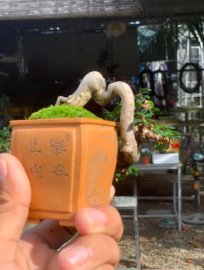 Đồ chơi siêu mini bỏ túi