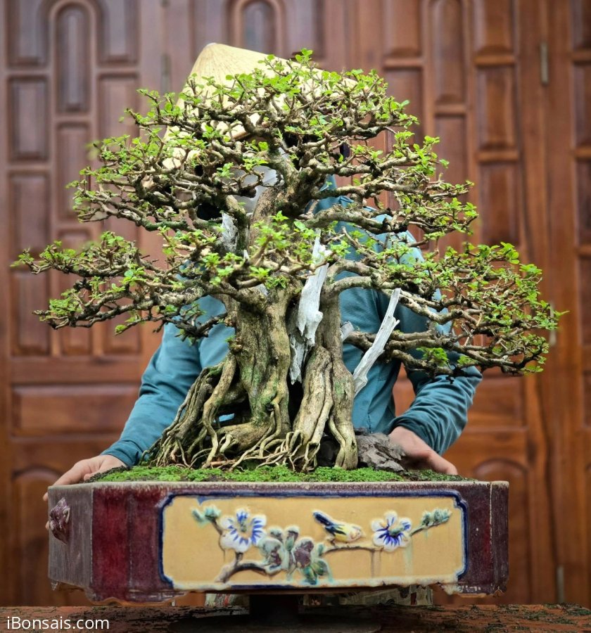 Sam ngọc nét đẹp thiên nhiên