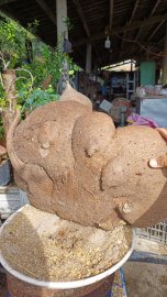 Đồng Tiền - Bình Vôi  ☎️07667.12379☎️