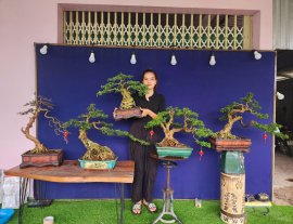 Linh sam hàng tay cành 7 năm