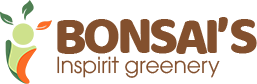 iBonsai’s-Thế giới Bonsai & Bonsai Coin